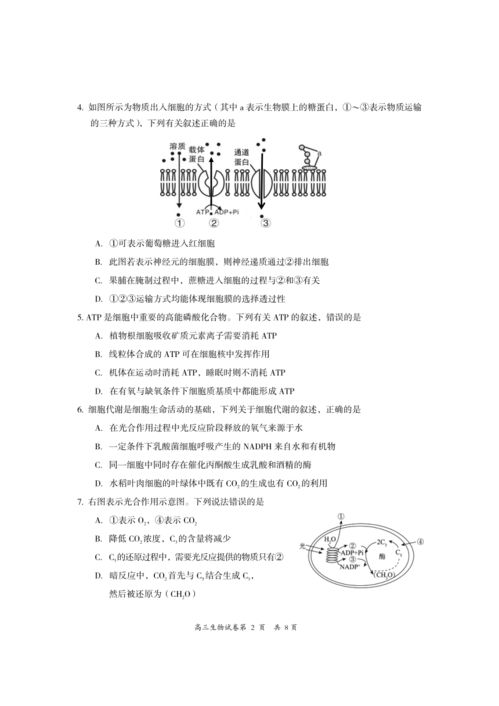 自然科學(xué)研究和試驗(yàn)發(fā)展——以生物學(xué)研究為例